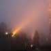 mini-IMG_0535