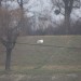 freudenau09_003