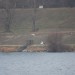freudenau09_017