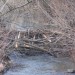 freudenau09_026