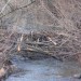 freudenau09_027