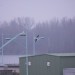 freudenau09_058