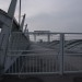 freudenau09_119