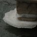 freudenau10_104