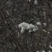 freudenau142_48