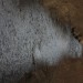 freudenau142_51