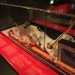 mini-IMG_033