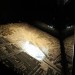 mini-IMG_039