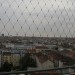 mini-IMG_054
