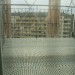 mini-IMG_074