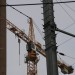 mini-IMG_085