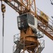 mini-IMG_086