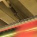 mini-IMG_099