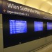 mini-IMG_122