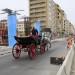 mini-IMG_147