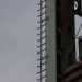 mini-IMG_158