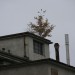 mini-IMG_167