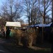 mini-IMG_3707