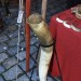 mini-IMG_3794