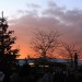 mini-IMG_3823