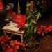 mini-IMG_3835
