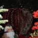 mini-IMG_3841