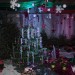 mini-IMG_3856
