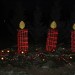 mini-IMG_3891