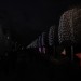 mini-IMG_3895