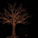 mini-IMG_3936
