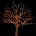 mini-IMG_3937