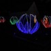 mini-IMG_3938
