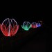 mini-IMG_3939