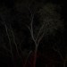 mini-IMG_3945
