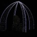 mini-IMG_3951