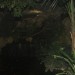 mini-IMG_3999