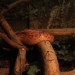 mini-IMG_4000