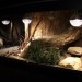 mini-IMG_4003