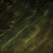 mini-IMG_4009