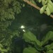 mini-IMG_4012