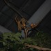 mini-IMG_4013
