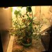 mini-IMG_4021