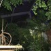mini-IMG_4022