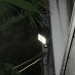 mini-IMG_4023