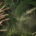 mini-IMG_4024