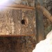 mini-IMG_4042