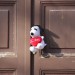 mini-IMG_3096