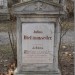 mini-IMG_3130