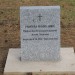 mini-IMG_3177