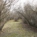 mini-IMG_3189